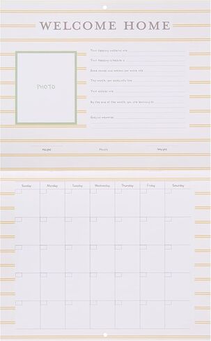 Carter's BA3-24958 Homegrown Baby's First Year Calendar with Stickers, 11.2" x 9.5", Multicolor in Saudi Arabia