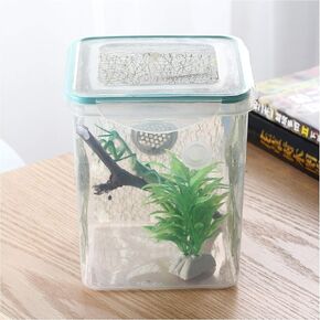 crapelles Spider Mantis Bottle Breathable Outdoor Natural Animal Exploration Tools Science Research Butterfly Frog Insect Colored Cage Habitat Bug Catcher Critter Caterpillars Cricket Snail Container