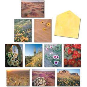 Leanin' Tree The Desert In Bloom - Made In USA - 20 Blank Note Cards and Envelopes - Elegant Stationery Paper and Envelopes - Assorted Cards with Envelopes All Occasion - Notecards with Envelope Set