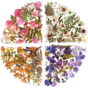 Maxleaf 160pcs نباتات عتيقة الزهور أوراق أوراق ملصقات لمخططي الديكور القصاصات محمولة أجهزة الكمبيوتر المحمولة ديكور الألبان (زهرة برية)