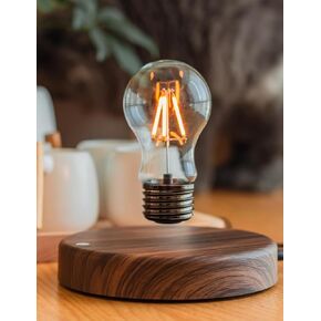 MOOCCI Levitating Bulb Lamp Magnetic Floating Light Desk Lamp Night Light, 360 Degree Wireless Automatic Rotating Light for Gifts Home Office Decor Desk Tech Toys (Round-Heart Bulb)