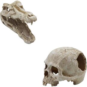 Aquarium Skulls Reptile Houses Decorative Resin Skulls Decorative Hideout Cave for Small Fish Shrimp Spiders Geckos Lizards(Human + Crocodile)