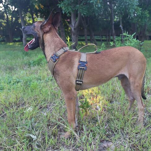 ICEFANG Dog Strap Harness with All-Metal Hardware,for Small Sized Dog,K9 Vest,Y-Shape Soft Padding,Adjustable Pet Harness,No-Pull Front Leash Clip (Small (Pack of 1), Green) in Kuwait