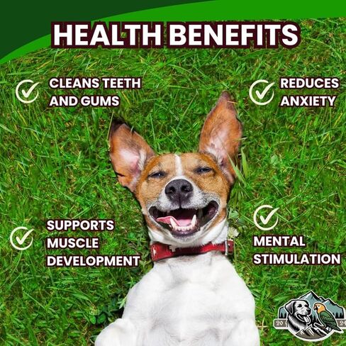 100-Pack of Roasted Pig Ears for Dogs-Bulk All Natural, Brazilian Single-Ingredient Chews! Safe & Digestible-Full-Size Ears! Cleans Teeth & Gums. Aggressive Chewers. Treats for Dogs in Saudi Arabia