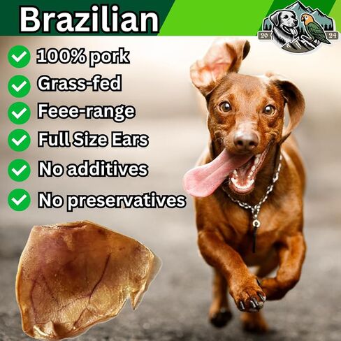 100-Pack of Roasted Pig Ears for Dogs-Bulk All Natural, Brazilian Single-Ingredient Chews! Safe & Digestible-Full-Size Ears! Cleans Teeth & Gums. Aggressive Chewers. Treats for Dogs in Saudi Arabia