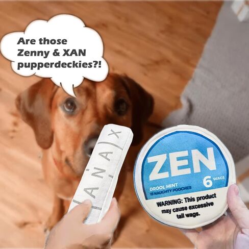 Chill Pup Funny Dog Toy - Parody Plush Squeaky Crinkle Dog Toy (ZENXAN) in Saudi Arabia