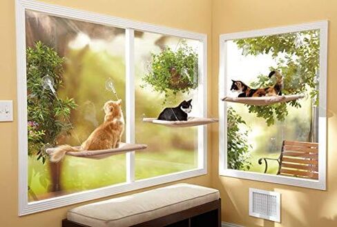 Oster Sunny Seat Window-Mounted Cat Bed, 50 Pounds in Kuwait
