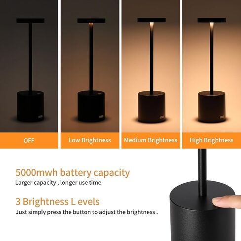 Minimalist Desk Lamp Aluminum Metal LED Read Lamp Rechargeable Black Table Lamp Type-C 5000mAh 3 Color Stepless Dimming for Restaurant,Study,Dorm,Bedroom (13.4IN) in Saudi Arabia