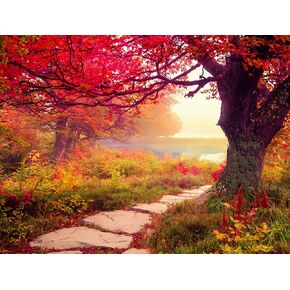 Springbok's Stone Path 1000 Piece Jigsaw Puzzle is A Mezmorizing Image for Puzzlers Looking for a Tranquil Escape