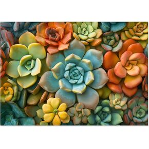 Motiloo Succulent Puzzle 500 Piece Jigsaw Puzzle for Adults -Colorful Succulent Plants Puzzle Perfect for Game Nights Family Holiday Jigsaw