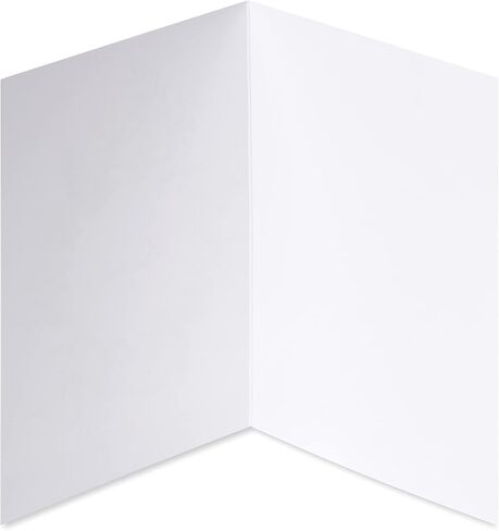 Papyrus Thank You Cards with Envelopes, Branches (20-Count) in Saudi Arabia