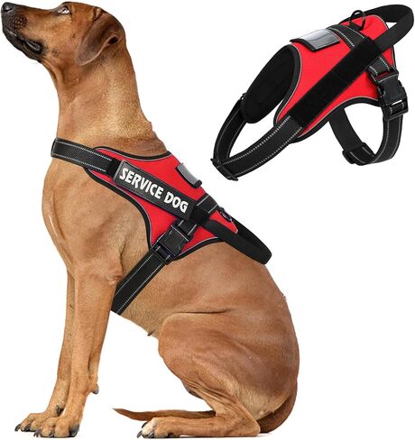 voopet Dog Harness Small Sized + ID Card Pocket + 7 Patches, No Pull Adjustable Pet Dog Vest 3M Reflective Breathable Dog Harness with Soft Padded Handle for Training, Walking, Easy Control in Kuwait