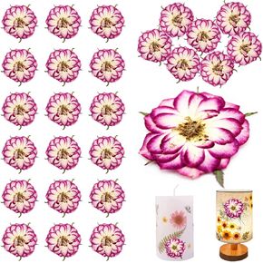 Natural Dried Flowers Two-Tone Rose for Resin Crafts Embellishments, 60PCS Pressed Flowers Rose for Resin Jewelry DIY Phone Case Decor Candle Making Cake Decoration