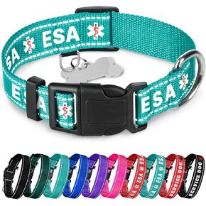 TECEUM Reflective Pet Collar – Teal - ESA – L – Basic Nylon Dog Collar – Quick Release Buckle – Fits Small, Medium and Large Dogs, Puppies, Cats – ESA & Service Dog Options