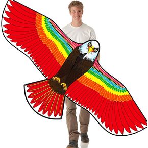 HENGDA KITE Eagle Kite,for Kids and Adults,Easy to Fly,Excellent Fabric and Structure Design,The Pictures are Beautiful in high Definition,Suitable for Beginners