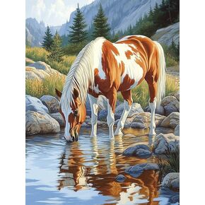 مجموعات فن الماس Bimkole 5D للبالغين على ضفاف النهر ، الحفر الكامل Diy Diy Rhinestone مجموعة الطلاء مع الماس Art Animal by Number Cross Stitch Home Wall Craft Decor