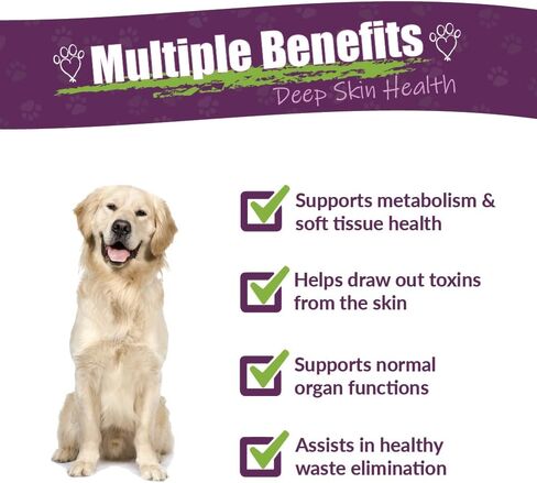 Amber NaturalZ Tumoxil Deep Skin Health Herbal Supplement for Dogs and Puppies | Canine Herbal Supplement for Skin and Metabolism Support | 1 Fluid Ounce Glass Bottle | Manufactured in The USA in Kuwait