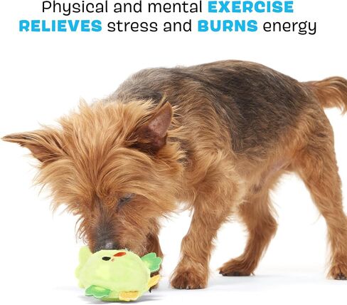 Barkbox Piper Parrot Dog Toy for Small Dogs, Perfect for Flipping Fun and Tearable Outer Layer with Bonus Toy Inside for Extra Playtime Excitement in Saudi Arabia