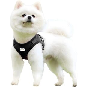 Puppy Harness Cat Harnesses with Leashes Set for Walking, Lightweight Extra Small Dogs Cats Soft Mesh Vests with Reflective Strips, Adjustable Safety Escape Proof
