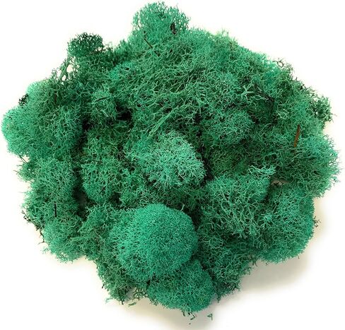 Reindeer Moss Preserved | Fuchsia Moss | 4oz of Colorful Fuchsia Reindeer Moss for Potted Plants, Floral Terrariums and Crafts | Plus Free Nautical eBook by Joseph Rains in Kuwait