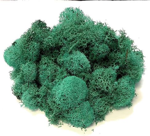 Reindeer Moss Preserved | Fuchsia Moss | 4oz of Colorful Fuchsia Reindeer Moss for Potted Plants, Floral Terrariums and Crafts | Plus Free Nautical eBook by Joseph Rains in Kuwait