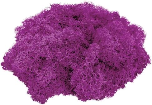 Reindeer Moss Preserved | Fuchsia Moss | 4oz of Colorful Fuchsia Reindeer Moss for Potted Plants, Floral Terrariums and Crafts | Plus Free Nautical eBook by Joseph Rains in Kuwait