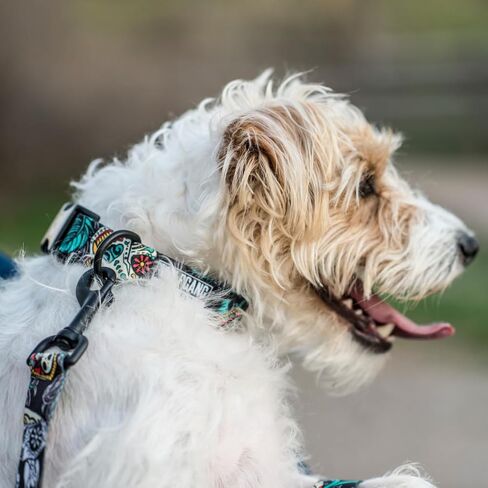 Wolfgang Heavy Duty Dog Leash, Pull-Tested to Over 800 lbs for Walking & Training, Overland Print, Large in Kuwait