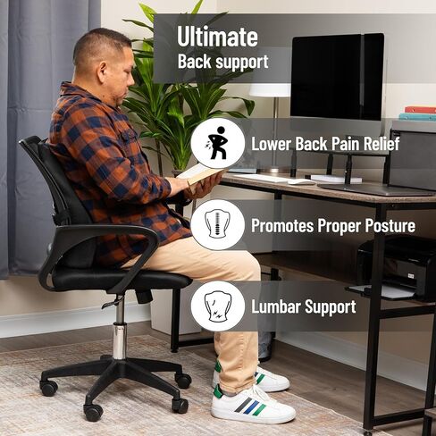 Mind Reader Lumbar Support Cushion for Office Chair ومقعد السيارة ، ورغوة الذاكرة ، وتكنولوجيا السحابة الهوائية ، ومصحح الموقف ، وسادة الخلفية السفلية متعددة الاستخدامات ، 13.5 "L x 4" W × 12.25 "H ، Black in Kuwait
