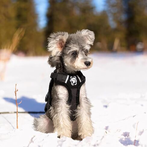 onetigris صغير الكلب سترة تسخير ، زخارف الكلب الفخمة - أفخم ناعم ، خطوة في سترة تسخير للكلاب الصغيرة والمتوسطة تسخير السترة القفاز (أسود أفخم ، م) in Kuwait