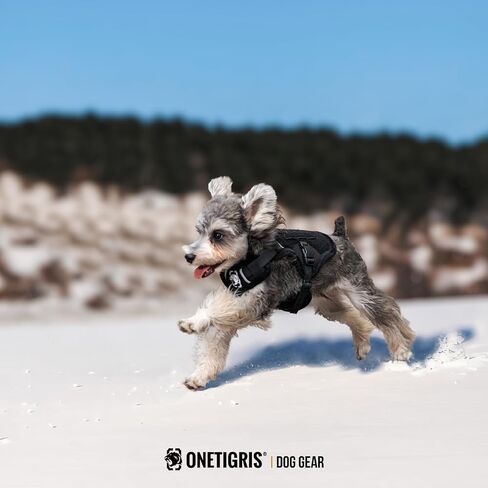 onetigris صغير الكلب سترة تسخير ، زخارف الكلب الفخمة - أفخم ناعم ، خطوة في سترة تسخير للكلاب الصغيرة والمتوسطة تسخير السترة القفاز (أسود أفخم ، م) in Kuwait