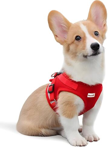 Puppy Harness Cat Harnesses with Leashes Set for Walking, Lightweight Extra Small Dogs Cats Soft Mesh Vests with Reflective Strips, Adjustable Safety Escape Proof in Saudi Arabia