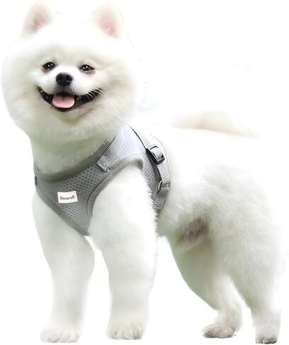 Puppy Harness Cat Harnesses with Leashes Set for Walking, Lightweight Extra Small Dogs Cats Soft Mesh Vests with Reflective Strips, Adjustable Safety Escape Proof in Saudi Arabia
