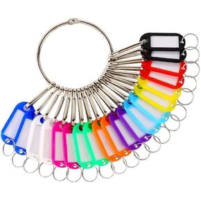 Metal Ring Key Organizer Holder with 20 Key Tags and Spring Hooks Landlord Key Organizer Manager Janitor Key Holder for Warehouse Office School Home, Random