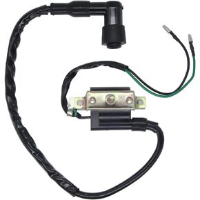 Ignition Coil Replacement Parts Fit for Coolster 125cc 3050B ATV-3050B 3050 B3050A 110cc Kids 4 Quad Four Wheeler Roketa Baja Kazuma Meerkat 50cc Falcom 110cc 70cc Chinese Quad ATV Dirt Bike.