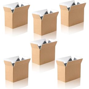 6 Pack Insulated Shipping Box for Shipping Frozen Food Cold Shipping Boxes Large Foil Cooler Carton Moving Kits for Mailing Packing (Box Size 11 x 6.1 x 7.1 Inch)