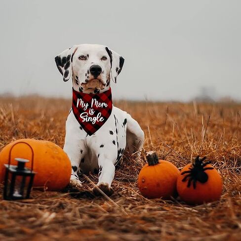 Family Kitchen أمي هي واحدة مضحكة حمراء منقوشة مثلث كلب باندانا، صور الدعامة وشاح الحيوانات الأليفة لصاحب الحيوانات الأليفة عاشق هدية in Kuwait