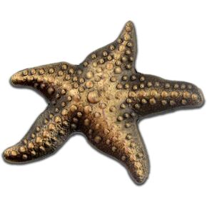 PinMart Starfish Lapel Pin on Starfish Story Card Make A Profound Difference Gift