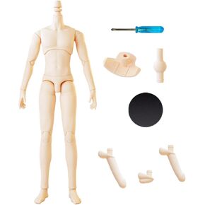 YMY Female Doll Body Obitsu22 Obitsu24 BJD Girl Doll for GSC, Blythe,ICY,1/6 Scale Bjd Doll Head (Super White-7.87 in)