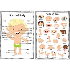 Richardy Body Parts A4 Educational Posters Preschool Posters Wall Charts Classroom Decorations Classroom Organization Kids Wall Decor Board Decor 11.22X8.26 Inch