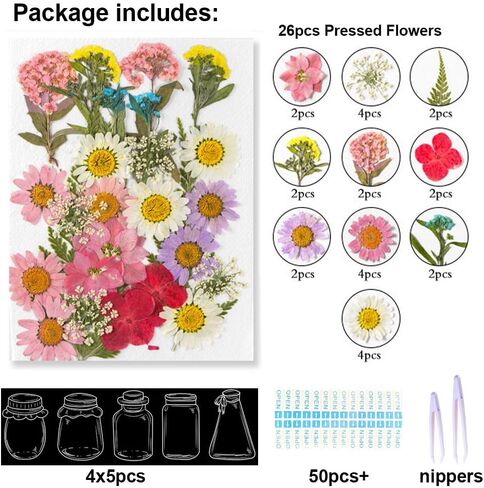 48 Pcs DIY Dried Flower Bookmark kit, transparent dried pressed flowers bookmarks making kit, clear sprout Page bookmarks set, Include Dried Flowers Handmade Bookmark for Students Teachers Reading in Kuwait