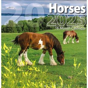 Bachmann Press 2025 Horses Full Size Wall Calendar for Planning, Scheduling, and Organizing