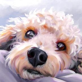 Diymood DIY 5D Diamond Painting Kits for Adults Dog Puppy - Diamond Art Kits for Adults Animal | Full Drill Round | Crystal Mosaic Picture | Beginner | Home Wall Decor | 12x12 Inch