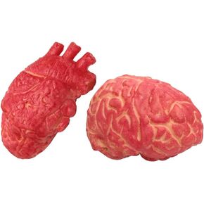 2pcs Fake Heart Brain Mold Scary Realistic Body Organ Parts Halloween Horror Props Haunted House Party Decor