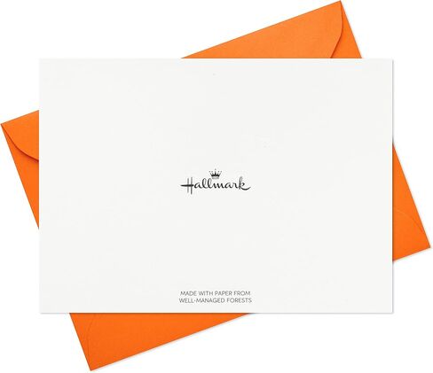 Hallmark Blank Cards Assortment, Modern Doodles (48 Cards with Envelopes) for Graduation, Just Because, All Occasion in Saudi Arabia