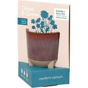 Modern Sprout Glow & Grow Wildflower Fields and Candle Grow Kit - Daisy Seed Starter Grow Kit, Scented Soy Candle