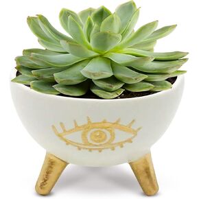 Gold Evil Eye Ring Bowl, Modern Table Top Planter and Ceramic Jewelry Dish, Small Decorative Bowl, Chic Table Key Holder for Coins and Other Trinkets
