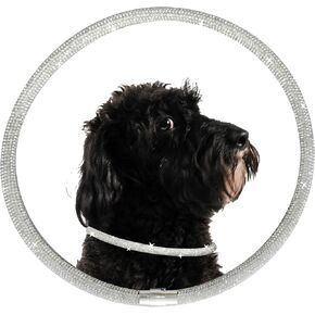 Dog Chain Collar,Pet Collar with Diamonds,Diamond Dog Collar,for Wedding,Magnetically Absorbent Clasp,Puppy Girl Bling Necklace for Small Medium Large Dogs Cats (12 inches)