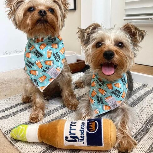 Haute Diggity Dog Grrrona Beer Bottle ، ألعاب Designer Designer Dog مع صرير تفاعلي ، إثراء الحيوانات الأليفة ، مواد قابلة للآلة وآمنة لجميع السلالات ، الحجم المتوسط in Kuwait