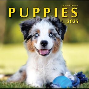 Puppies 2025 Hangable Wall Calendar Cute Funny Dog Photo Gifts Puppy Dogs Photography Large Full Page 16 Months for Organizing & Planning Gift for Her (2025 Puppies)