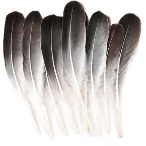 MehelloFeather Pheasant Feathers 12 PCS Natural Feathers 8-10 Inch for DIY Crafts Hat Floral Arrangements Wing Quill Wedding Home Party Decorations